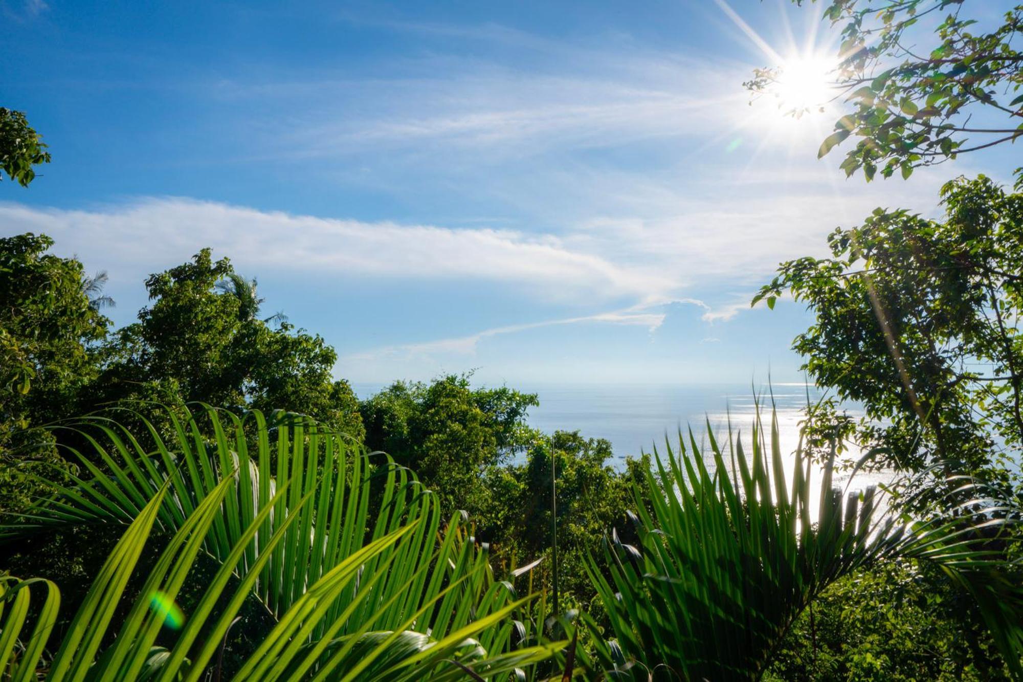 Lunar Villas Koh Tao - Luxury Private Pool Villas Eksteriør bilde